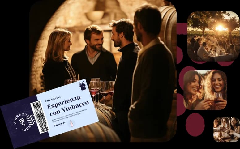 Wine tasting experience