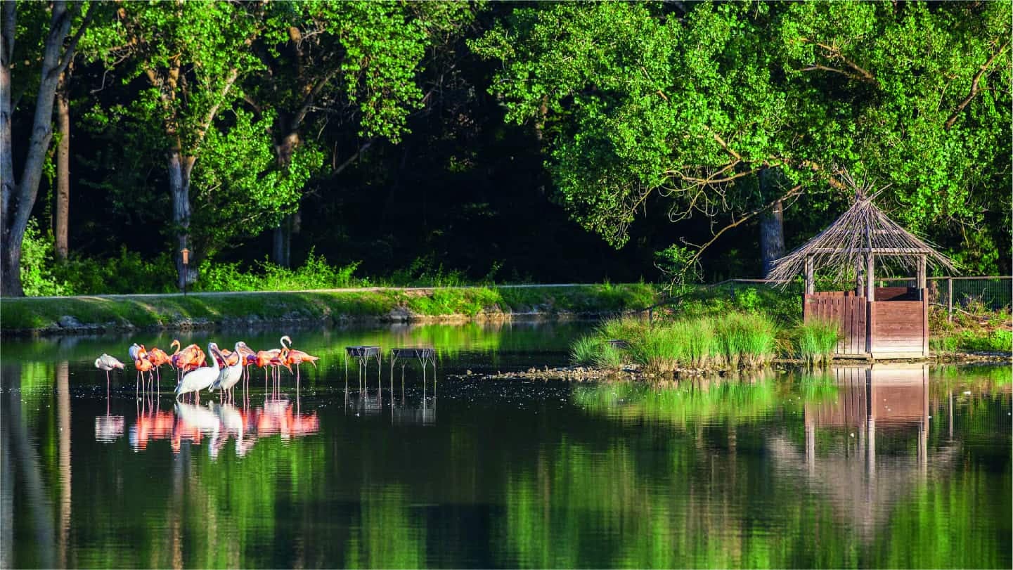 Todi Wine Tour | Vinbacco, image size:1441x811